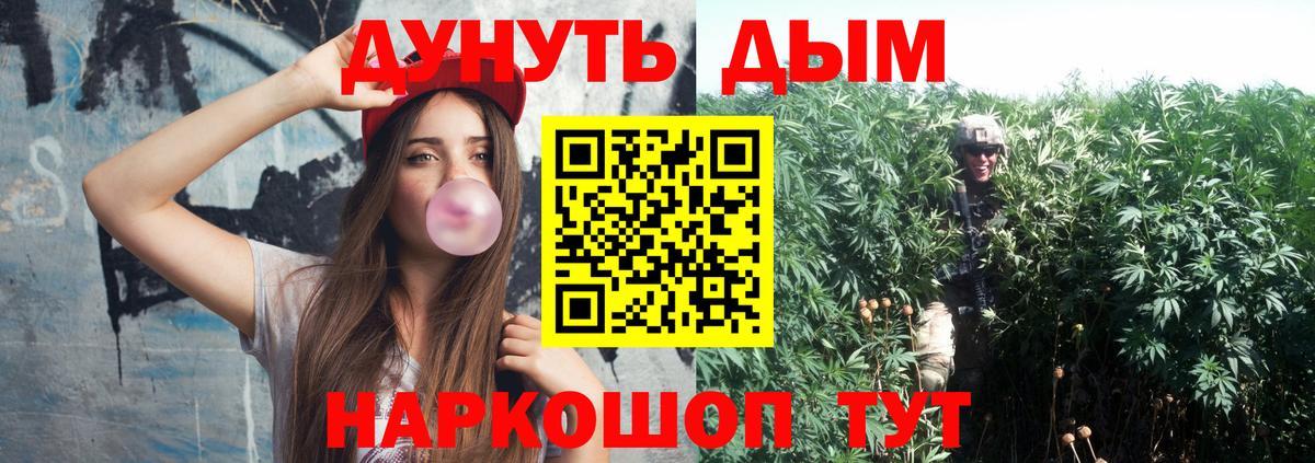Бошки Шишки планчик Новомосковск